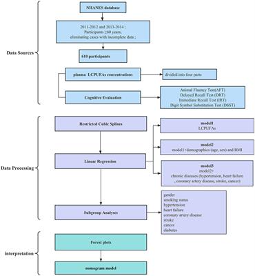 Association between plasma long-chain polyunsaturated n-3 fatty acids concentrations and cognitive function: findings from NHANES III